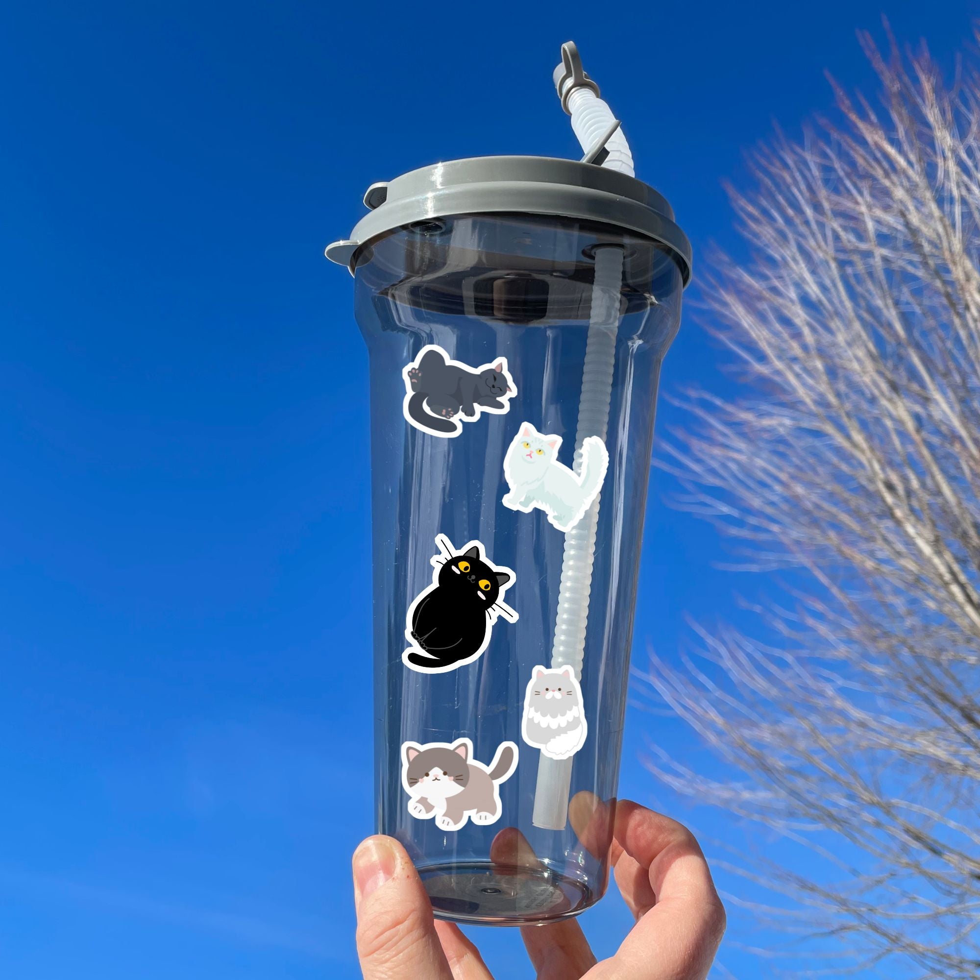 This sticker sheet is purrfect for all cat lovers! It has stickers of 12 different cute and cuddly cats, plus two pawprint stickers.  This image shows a water bottle with five of the cat stickers applied to it.