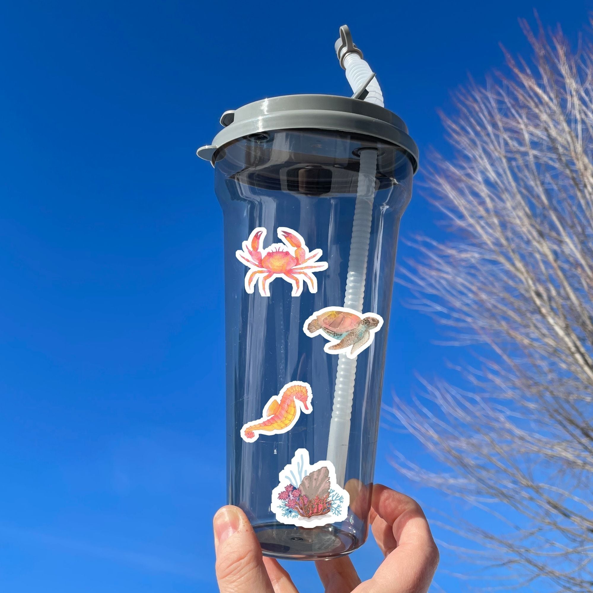 Teaming with sea life, this sticker sheet is filled with sticker images of fish, sea turtles, and coral! Take the reef with you anywhere with these beautiful stickers. This image shows a water bottle with stickers of a crab, a sea turtle, a seahorse, and a coral reef scene applied to it.