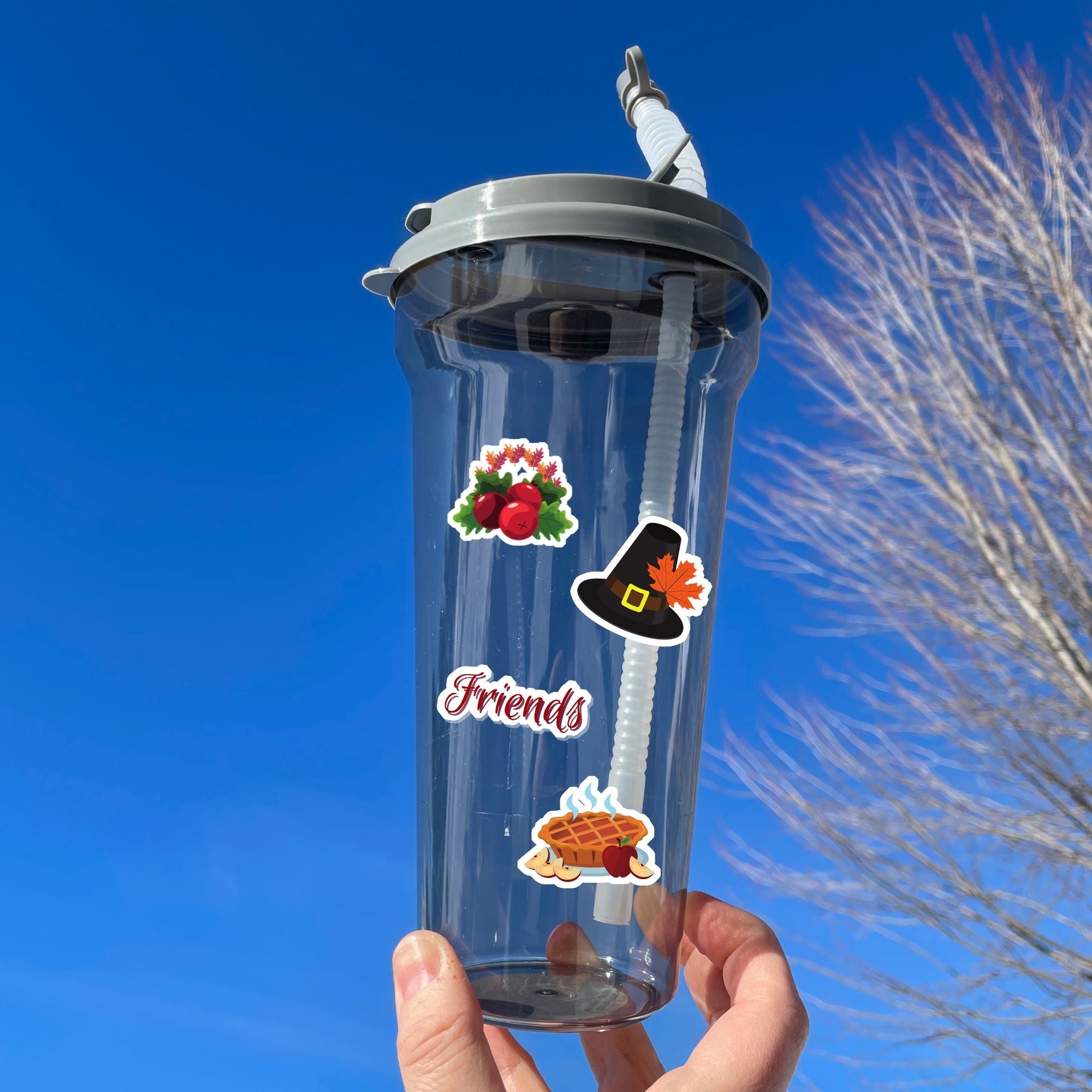 This festive Thanksgiving sticker sheet is perfect for decorating or scrapbooking. It features all of your favorite Thanksgiving images and inspirational sayings. Let the feast begin! This image shows a water bottle with stickers of a cranberry garland, a pilgrim hat, the word friends, and an apple pie.