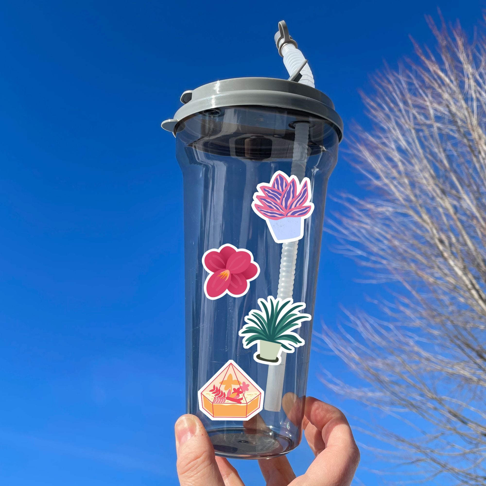 Let your green thumb shine with this sticker sheet. It features a variety of succulent plant stickers that are perfect for your favorite gardener! This image shows a water bottle with four different succulent plant stickers applied to it.
